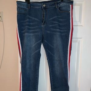 SHEIN PLUS SIZE STRETCHY JEANS 3X